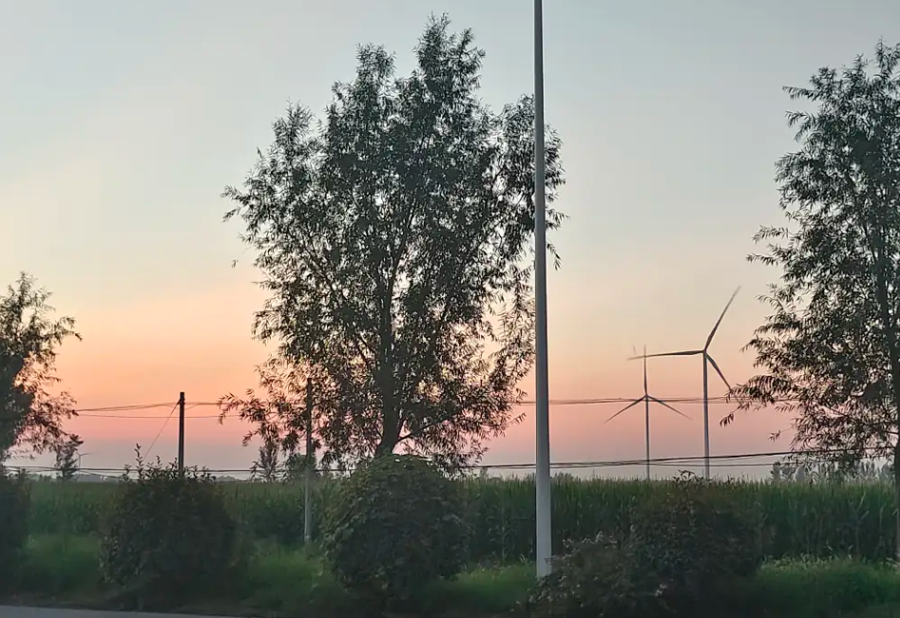 image-20230829150606692